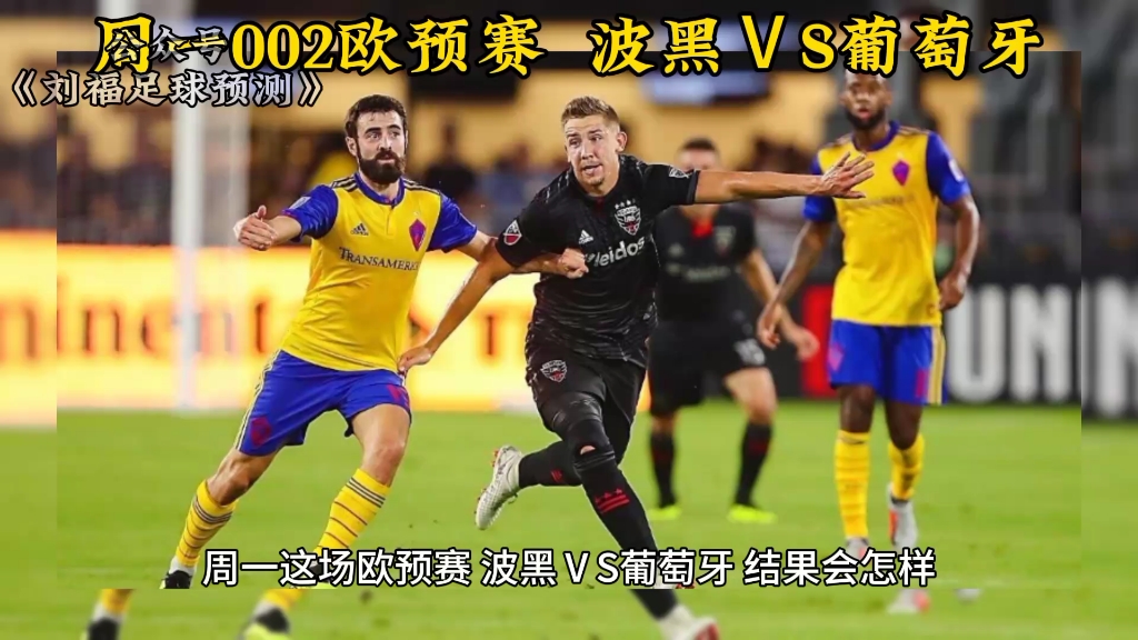 同乐城官网-波黑豪取欧预赛小组第一，晋级优势明显的简单介绍