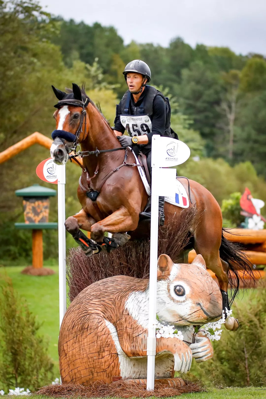 同乐城娱乐-比利时选手稳扎稳打，赢得金牌的简单介绍